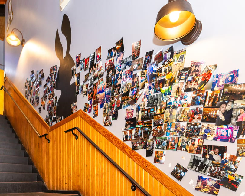 A staircase with wooden railings leads up to a wall covered in numerous framed photos and a large rabbit silhouette.